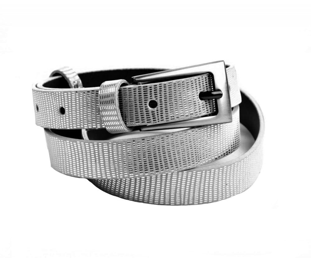 Penny Belts Stříbrný pásek na šaty 183-606 100 cm - náhled 4