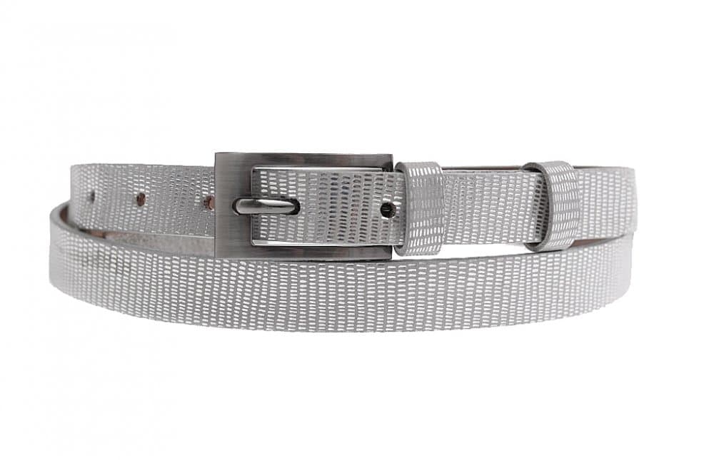 Penny Belts Stříbrný pásek na šaty 183-606 100 cm - náhled 2