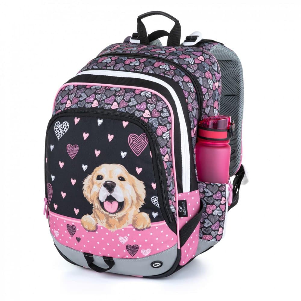 Bagmaster Alfa 21 A